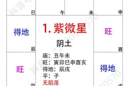 紫薇斗数忌星入十二宫