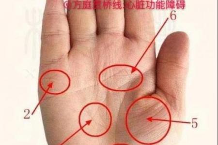 手相算命：几种重要的手纹图解