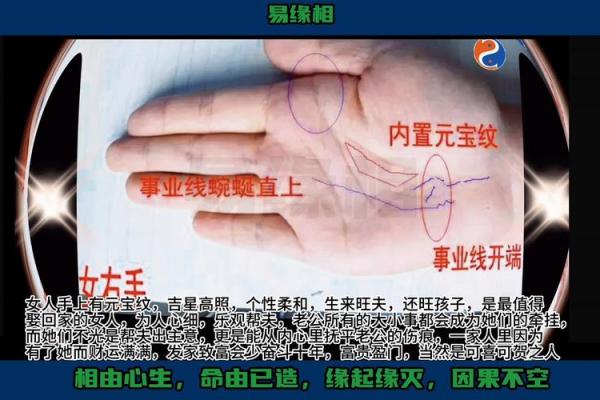怎么看手相女八字命理详解 怎么看手相女八字命理详解