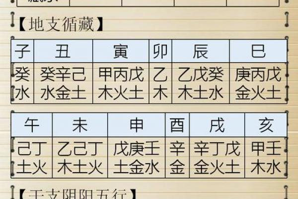 2024年11月19日出生八字五行命理 生辰八字查询 2024年11月19日出生八字五行命理 生辰八字查询