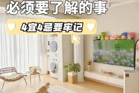 房子风水家具摆放图片