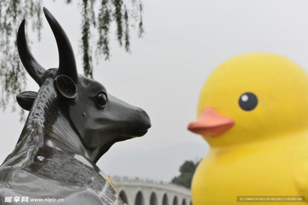 小黄鸭 风水 小黄鸭 风水