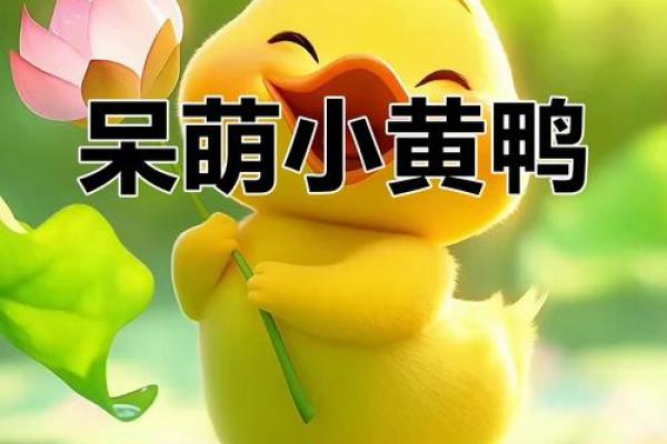 小黄鸭 风水 小黄鸭 风水