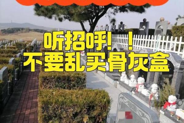 公墓风水,下葬有啥讲究和流程 公墓风水,下葬有啥讲究和流程