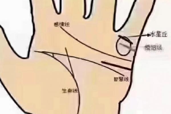 免费扫一扫看手相算命,扫一扫看手相算命 免费扫一扫看手相算命,扫一扫看手相算命