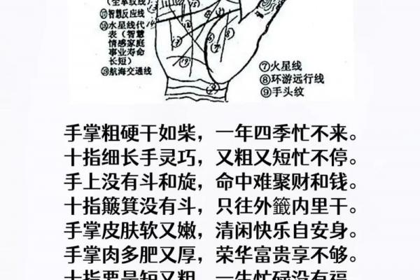 免费扫一扫看手相算命,扫一扫看手相算命 免费扫一扫看手相算命,扫一扫看手相算命