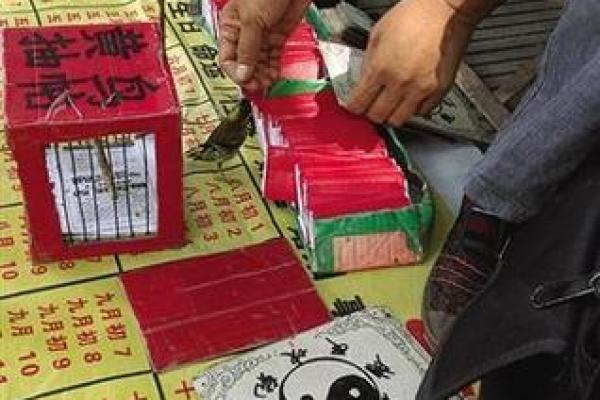 算命抽签上上签 算命抽签上上签