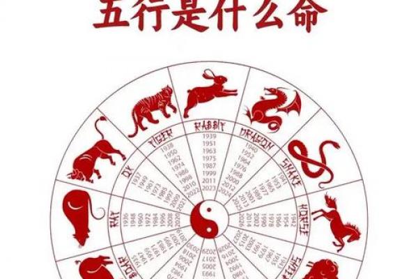 算命蛇猪 算命蛇猪