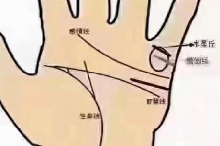 免费扫一扫看手相算命,扫一扫看手相算命