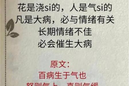 八字火炎土燥不得善终 必无子 怎样缓解