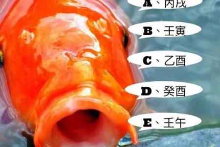 灵签占卜下半年收获