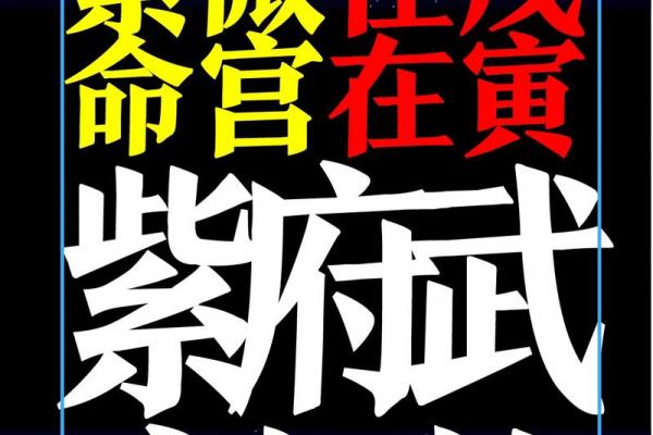 紫薇斗数小说 紫薇斗数小说