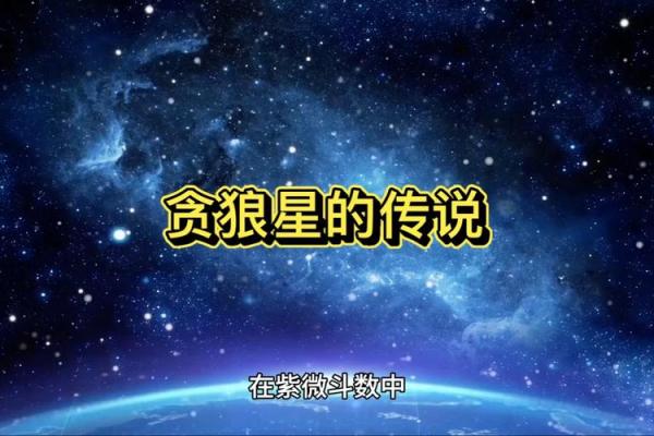 紫薇斗数主星性质:廉贞,天府,贪狼,巨门 紫薇斗数主星性质:廉贞,天府,贪狼,巨门