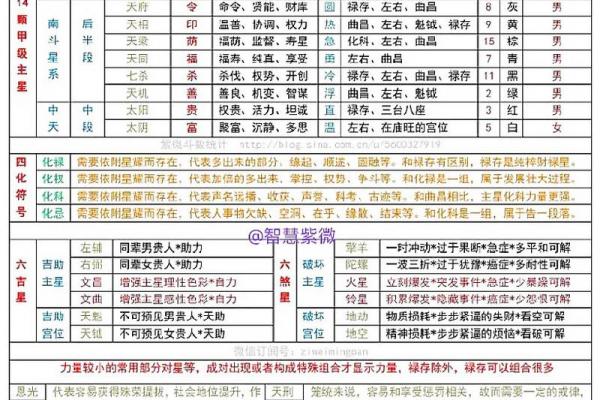 紫薇斗数命运宝典 紫薇斗数命运宝典