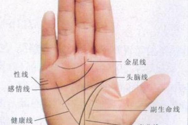 详解胎记算命 详解胎记算命