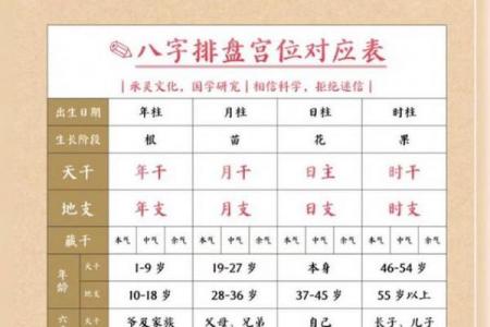八字排盘后分析教程