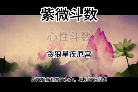 紫薇斗数主星性质：廉贞，天府，贪狼，巨门