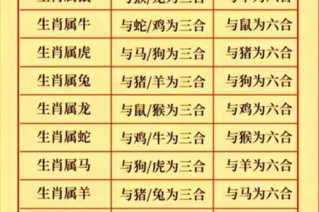 八字大家属于哪个生肖