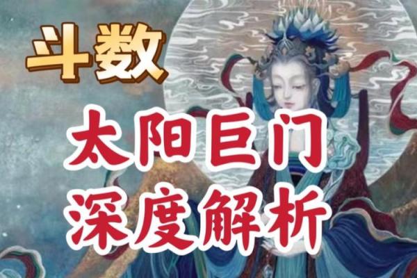 紫薇斗数的巨门