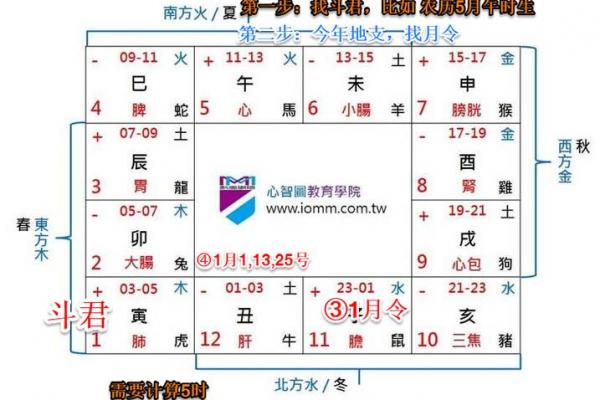 紫薇斗数从戍起子 紫薇斗数从戍起子