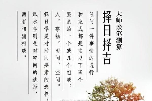 算命风水有科学依据吗 算命风水有科学依据吗