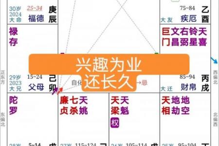 紫薇斗数如何看工作变化