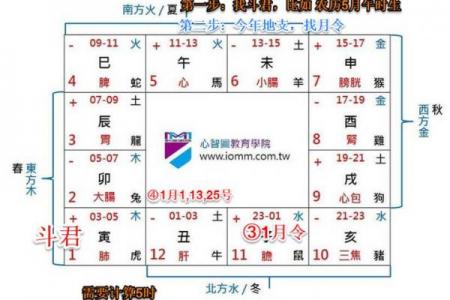 紫薇斗数从戍起子