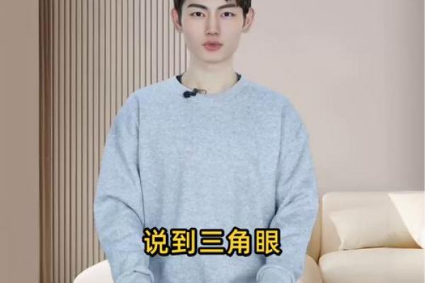风水面相三角眼的男生性格特征表现 风水面相三角眼的男生性格特征表现