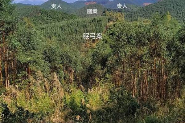 怎么样看墓地风水朝向的凶吉