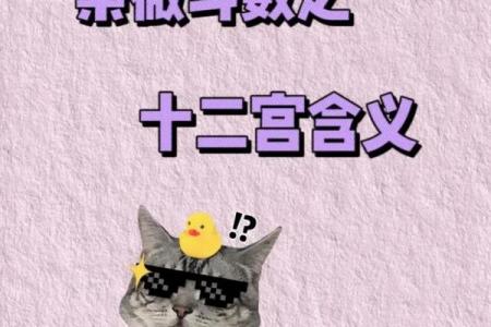 知恩报恩紫薇斗数下载