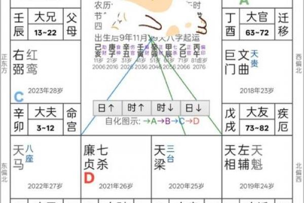 紫薇斗数看受伤
