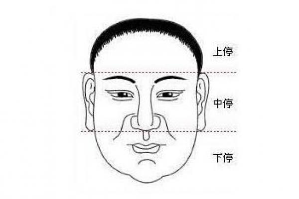 面相算命入门什么是三停 面相基础知识