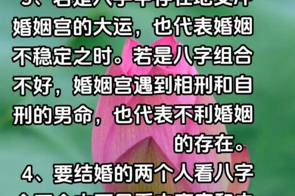 八字看哪些女人喜欢俊夫