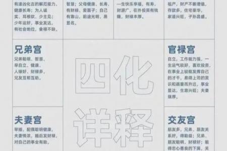 知否科技紫薇斗数