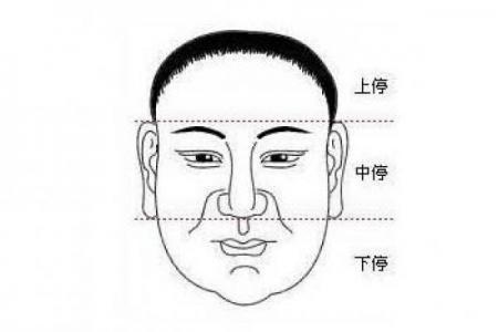 面相算命入门什么是三停 面相基础知识