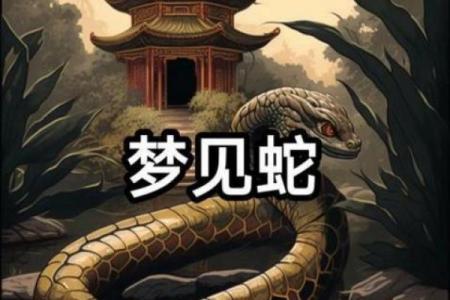 梦见房子风水不好有蛇