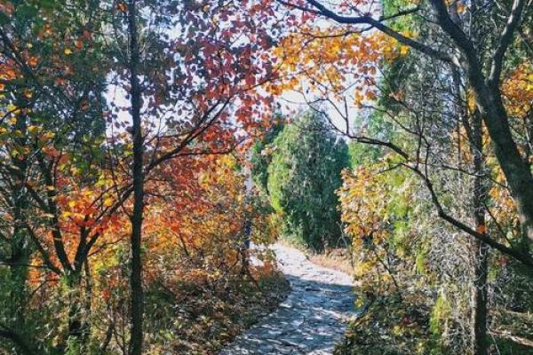 济南郎茂山附近有个算命的