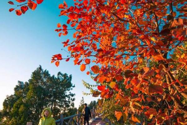 济南郎茂山附近有个算命的