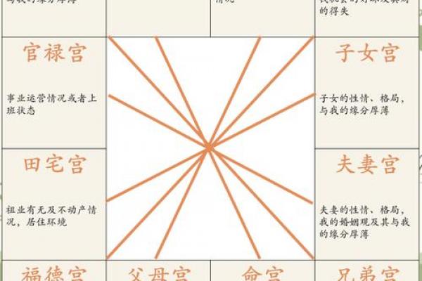 紫薇斗数正财星