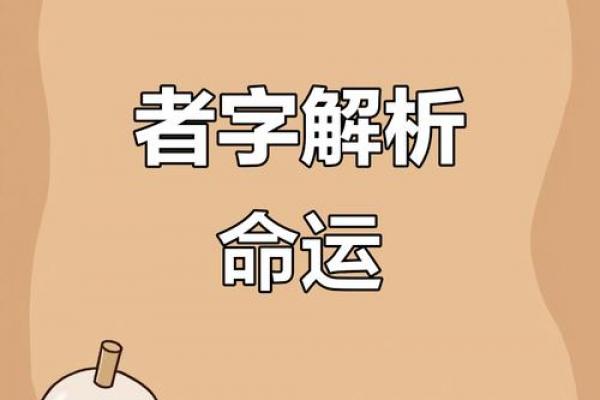 拆字算命,命运测算免费