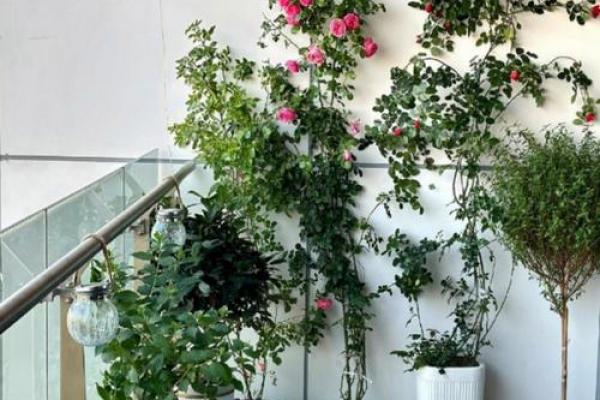 窗外花坛风水好吗