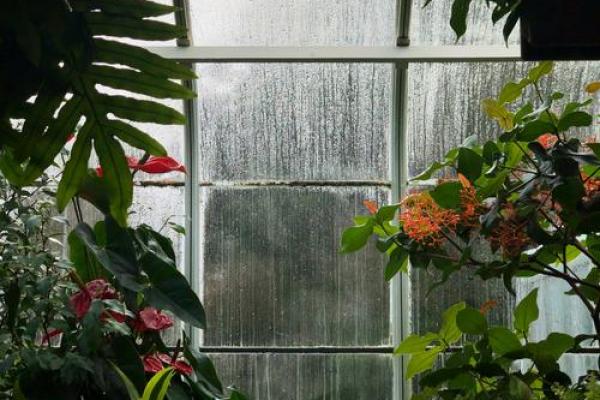 窗外花坛风水好吗