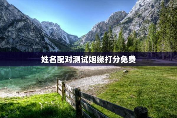 爱情测试姓名配对软件下载免费 爱情测试姓名配对打分的软件？