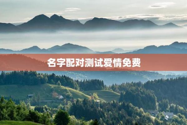 爱情测试姓名配对软件下载免费 爱情测试姓名配对打分的软件？