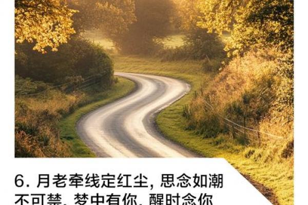 月老给你安排的姻缘文案 月老现在不管姻缘了? 月老给你安排的姻缘文案 月老现在不管姻缘了?