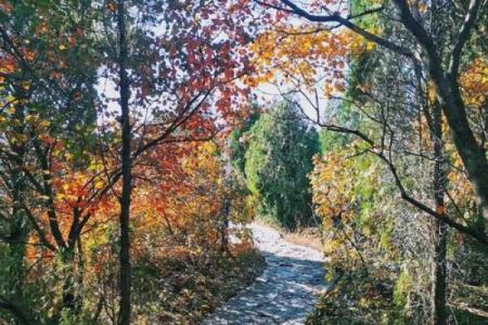 济南郎茂山附近有个算命的