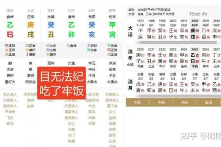 伤官见官的八字