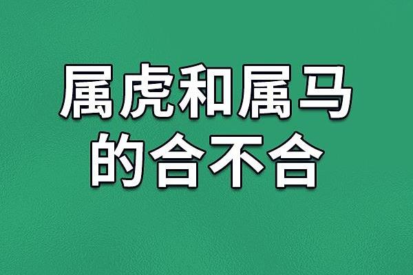 鼠马的八字不合