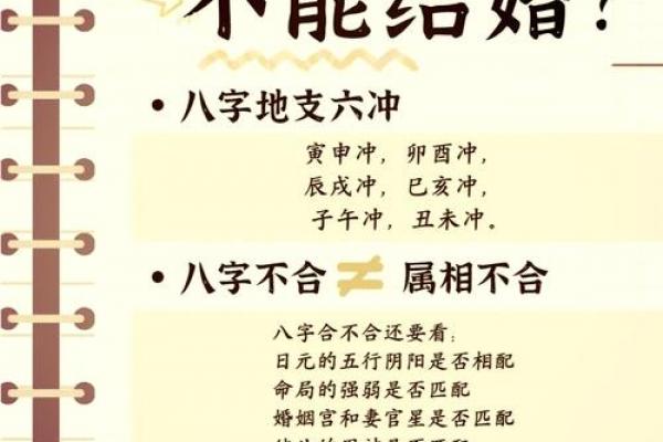 鼠马的八字不合