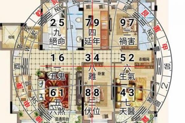 双星风水更好的房子